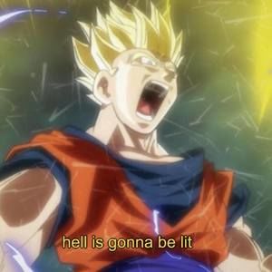 Meet your Posher, Pablo